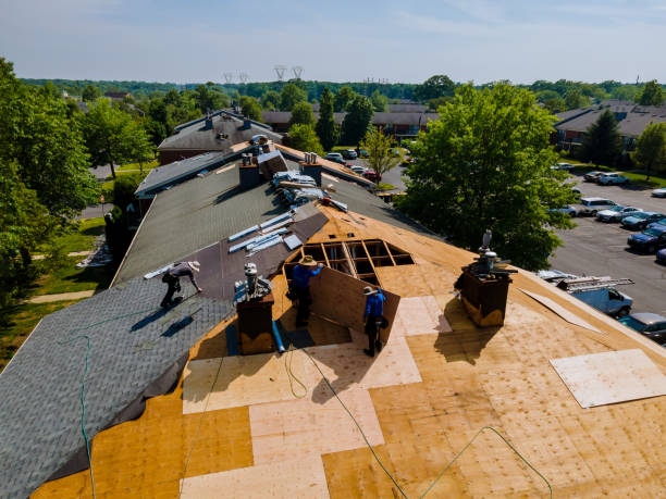 Best Flat Roof Repair Services  in Montgomery, TX